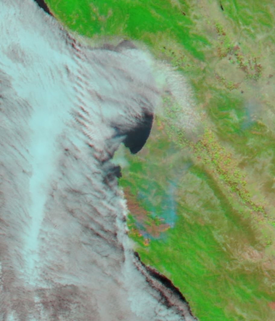 modis image 7 31 ir