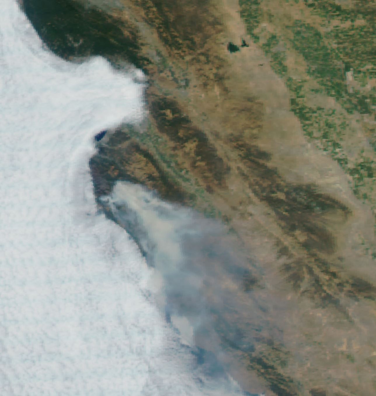 modis image vis 8 3